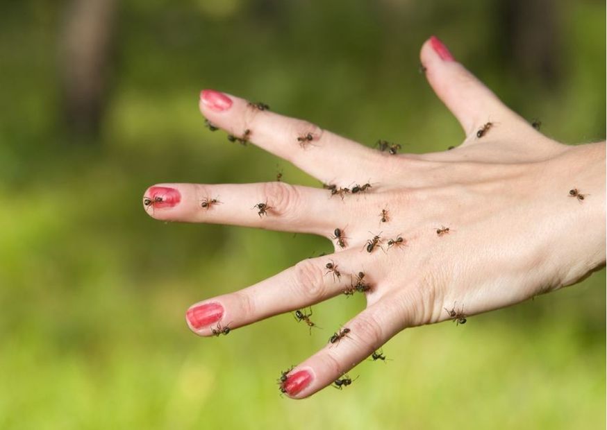 mão feminina com formigas simulando a sensação de formigamento nas mãos